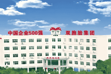 双胞胎集团开年被罚超百万元 污染问题高发一年被罚20多次