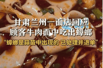 顾客在兰州清真牛肉面店吃出蟑螂 回复：是在抓