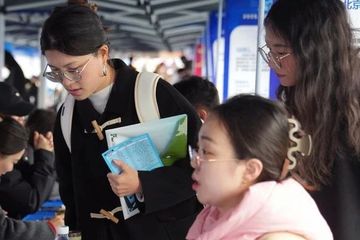 政策引领与市场对接并进 加快构建毕业生高质量就业服务体系