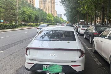 T3网约车司机猥亵乘车女大学生被拘 平台愿赔