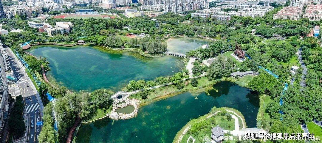 8園:四海公園,荔林公園,女媧濱海公園,南山公園,深圳灣公園,古炮臺