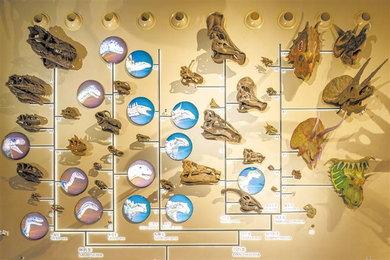 中国古动物馆(保定自然博物馆)1月3日正式对公众开放_生物_地球_地质