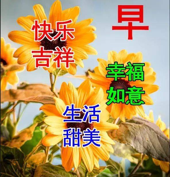 8张特别漂亮冬日风景早上好祝福图片精选 免打字聊天的早安问候祝福