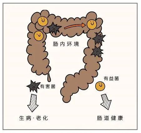 貴陽微創胃腸專科醫院:腸道受損,與多種疾病相關!