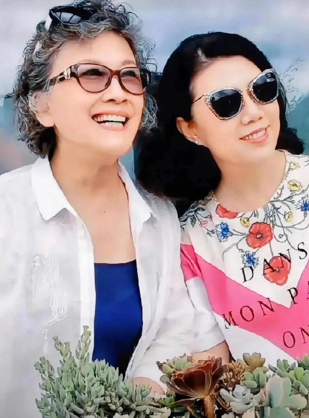 宋春丽晒照惊讶所有人!