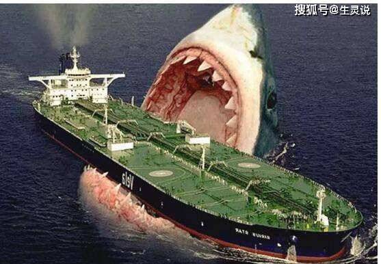 作为海洋巨无霸的巨齿鲨,为何大白鲨生存了下来,它却最终走向了灭绝?_