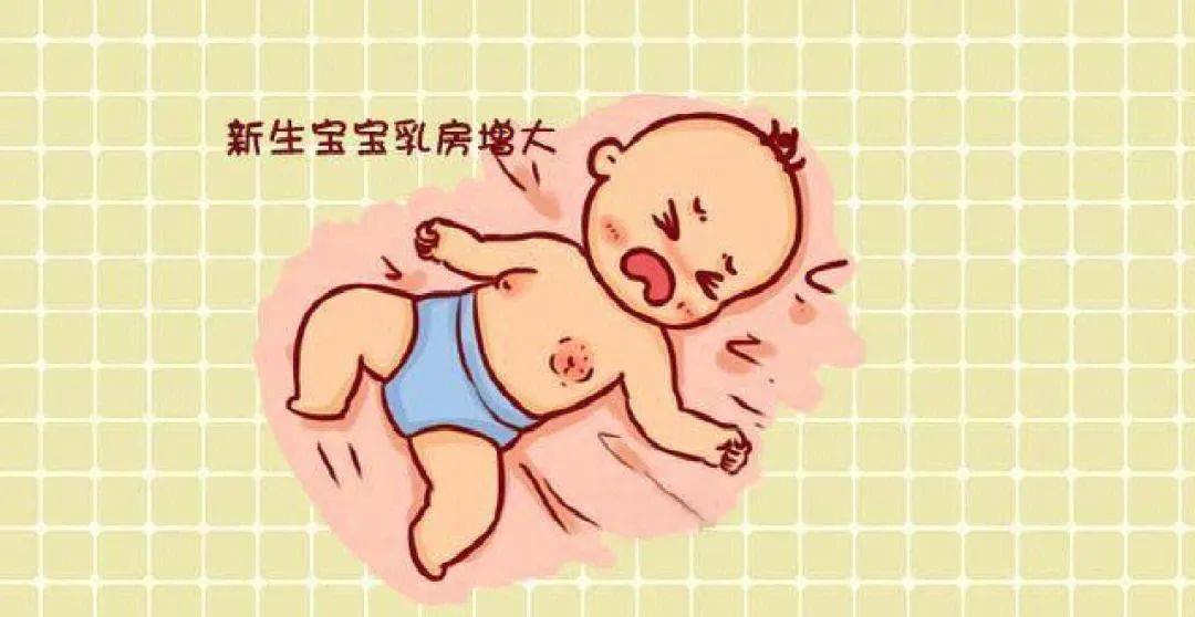 出生9天宝宝乳房肿胀,警惕新生儿乳腺炎