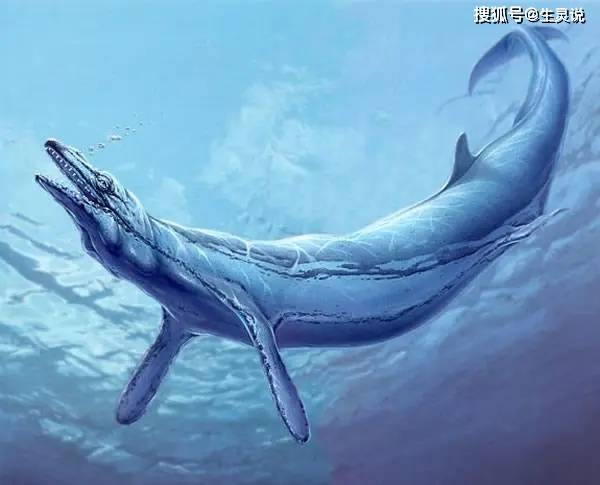 龙王鲸怎么画灭绝图片