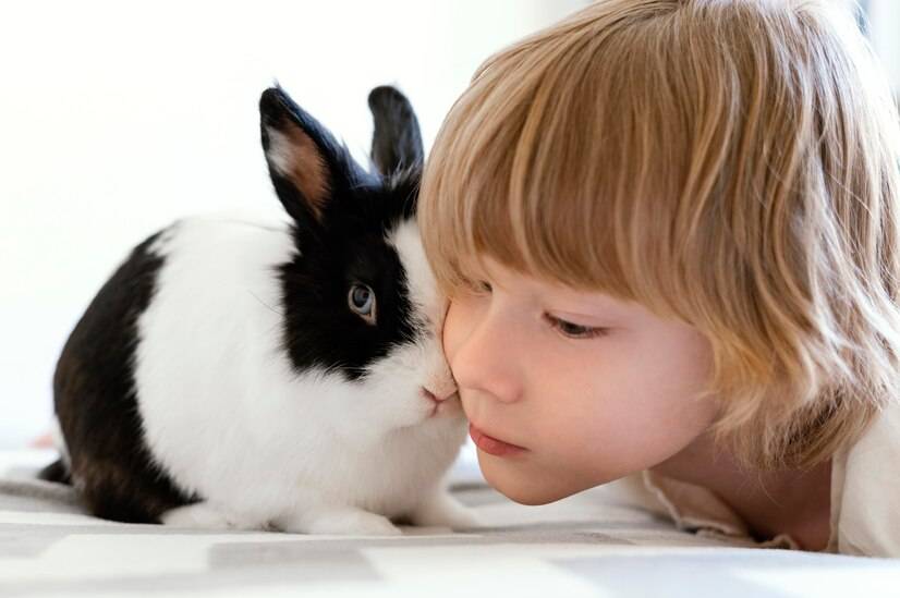养兔子的十大禁忌图片