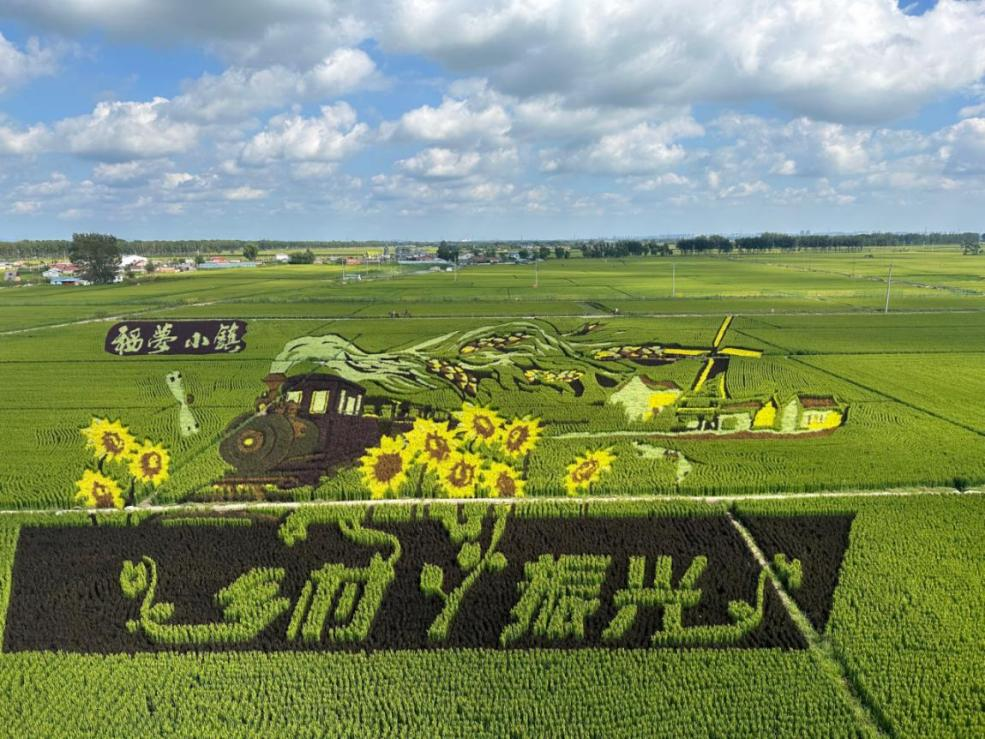 年開始做稻夢空間農產項目,我希望通過農旅融合的方式拉動農業發展