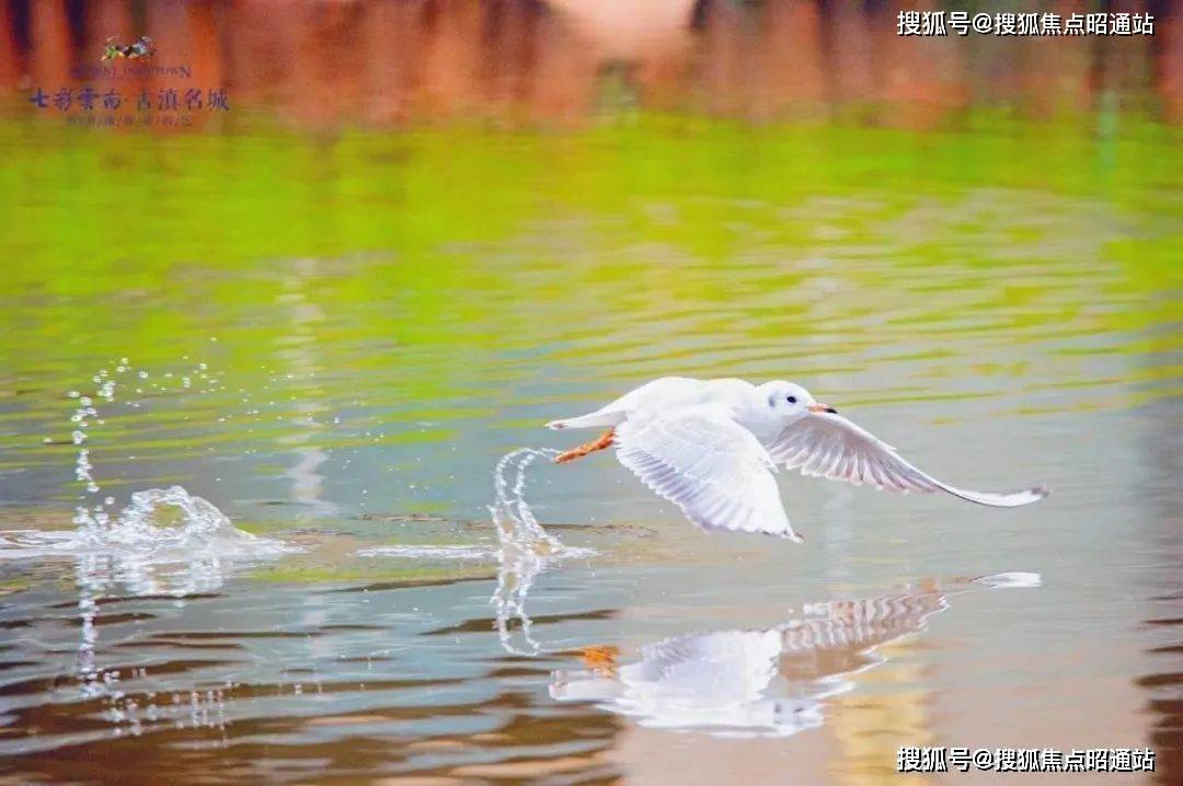 昆明古滇名城樓盤價格/售樓處電話/價格/位置/戶型