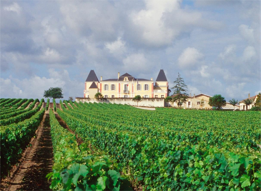 中喜酒业推荐——一款以法国国名命名的葡萄酒_酒庄_种植区_产区