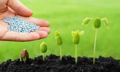 土壤_养分_好处