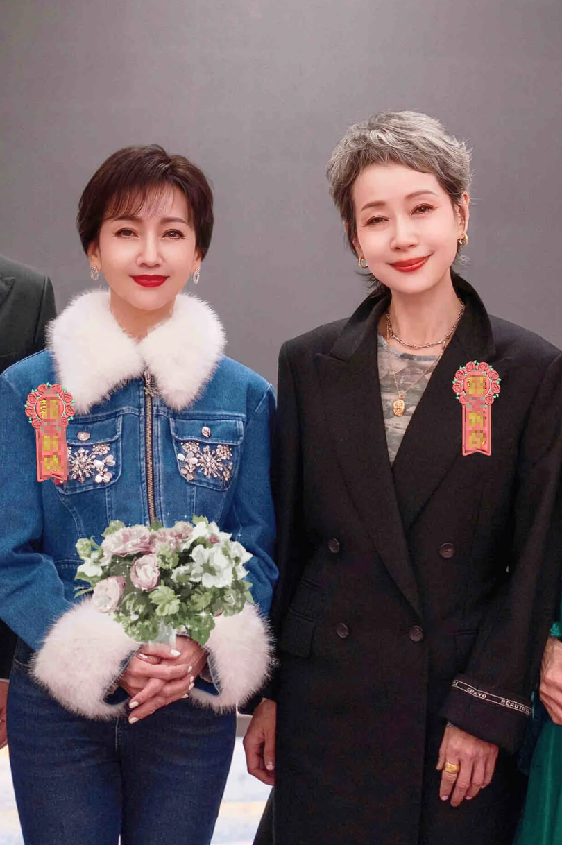 当赵雅芝与叶童合照时,许多网友感慨万千,看到这一幕仿佛看到了电视剧