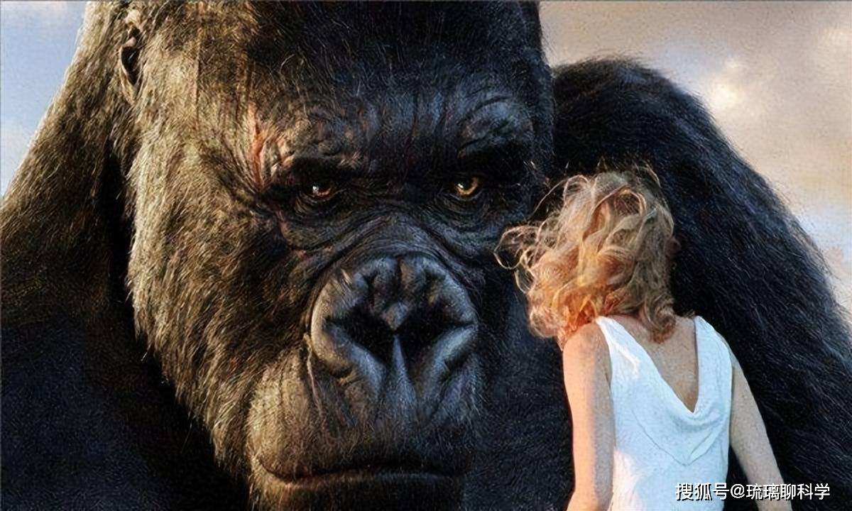 因为"挑食"而灭绝,身高高达3米的史前巨猿,到底多悲哀?