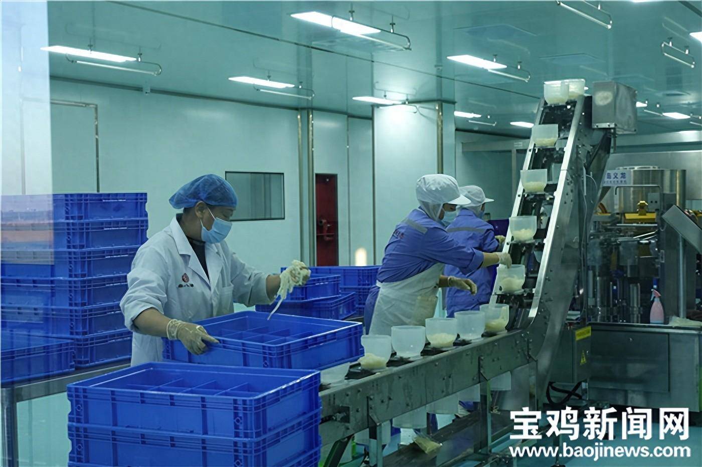 加快培育特色产业集群 2023年宝鸡农产品加工园区产值超322亿元_擀