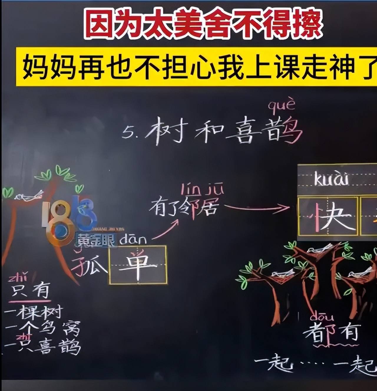 浙江一语文老师板书走红,网友：这才是真正意义上的老师