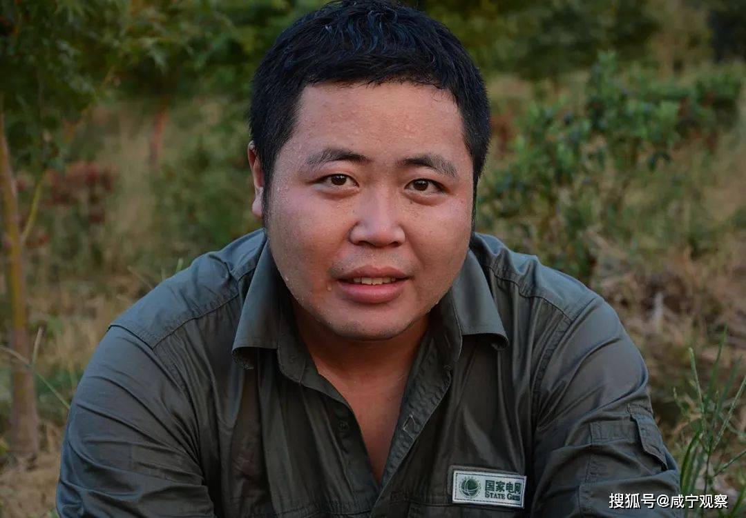 我市2人获评"湖北省青年岗位能手"称号_咸宁_丁力_输电