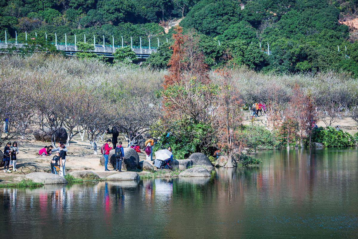 上海青浦香雪公园一处隐藏在郊区的美景