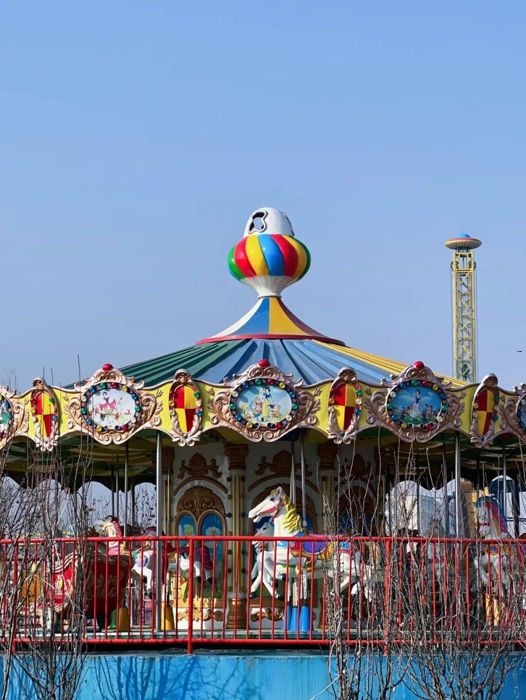 菏泽竟深藏一这么好玩的地方!-山东省养老服务信息网