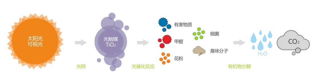 除甲醛通風不如用這幾個小方法,輕鬆去除新房裝修後的