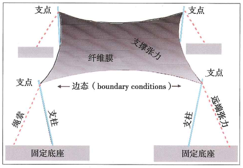 在人體中,支點在肩關節和骨盆一帶.