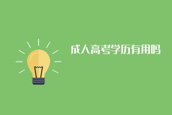 成绩查询入口2020年_今年成绩查询_2024年查询成考成绩