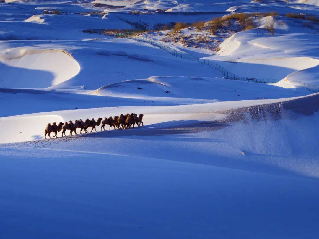 有生之年必去丨華蓮旅遊度假區滑雪場,帶你遨遊沙漠雪