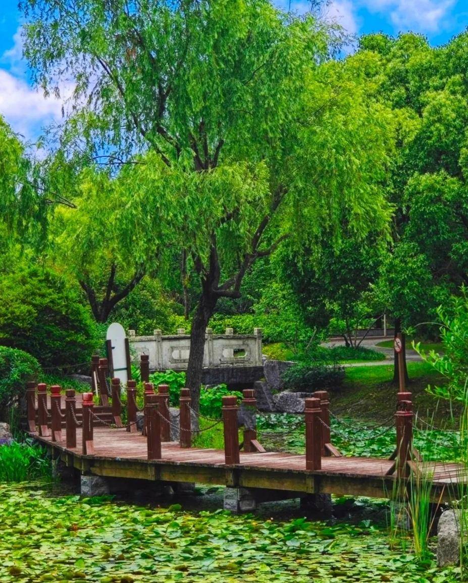 上海闵行陈行公园令人醉_竹林_大自然_宁静