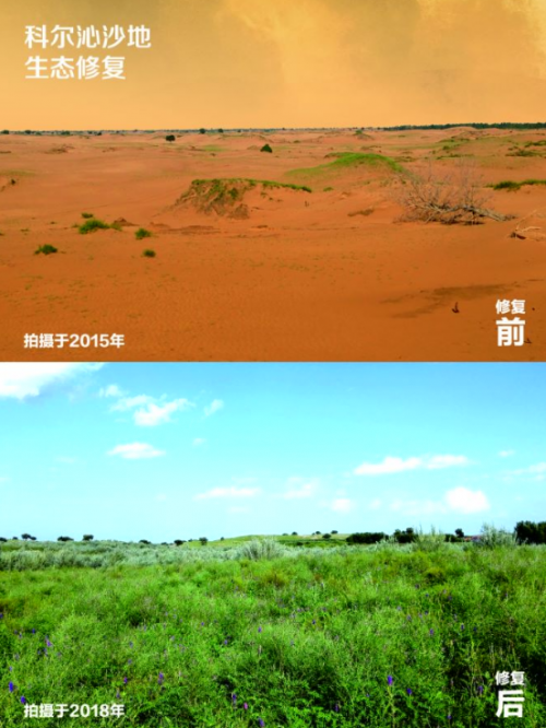 科技创新是防沙治沙利器,蒙草生态为荒漠化治理提供方案_应用_草原