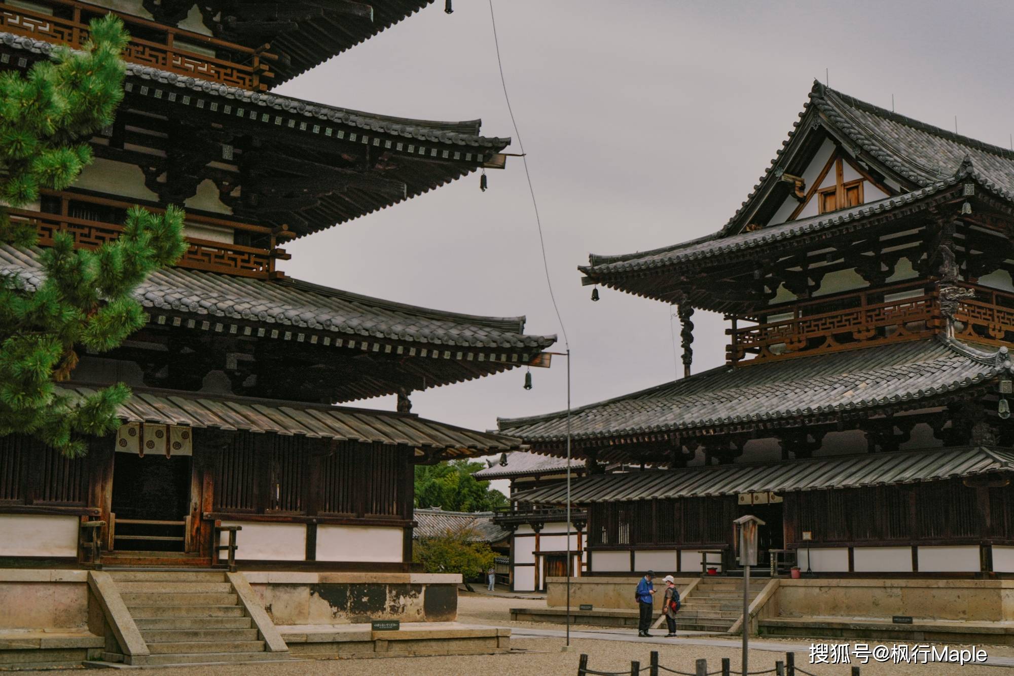 法隆寺的門票,成人1500日元(約80人民幣),算是全日本最貴的寺廟了.