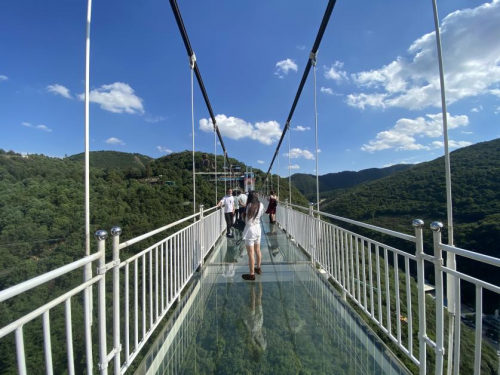 云南西游洞集团杨学银董事长携全体员工向全国人民拜年_旅游_风景区