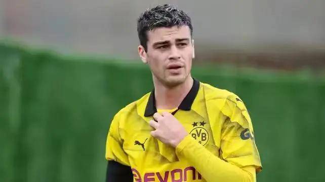 多特蒙德球员雷纳计划离开球队_体育_天空_德国