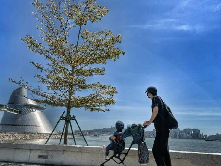 王阳一家三口外出度假,3岁女儿近照曝光,高斯穿搭低调超漂亮_老婆