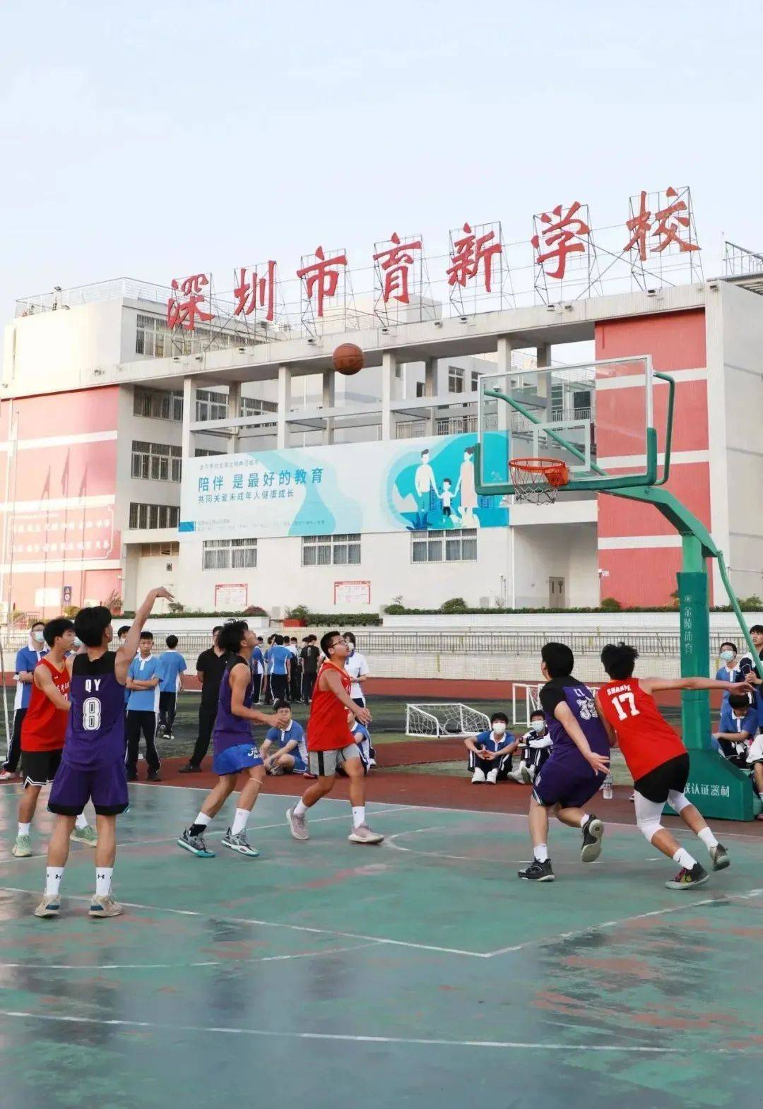 以上标签似乎都不太适用深圳市育新学校来说体育特色学校(园)年度奖的