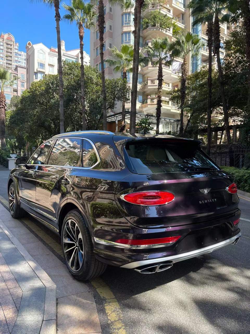 24年准新,中规宾利添越加长版4座