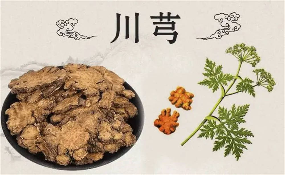 脾腎不足,氣血兩虛?1箇中成藥,陰陽並調,脾腎氣血一起