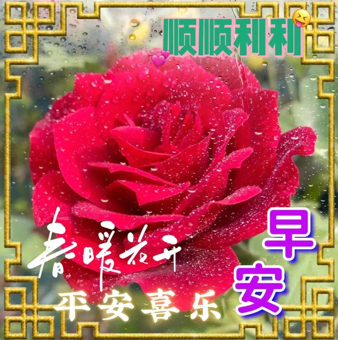 周五早安,温馨的早安祝福图片带字问候语,推荐群发暖心问候祝福语大全