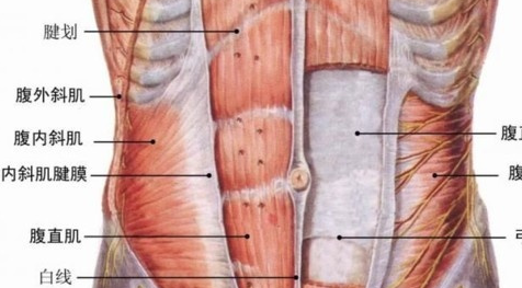 丁海寅的腹肌图片