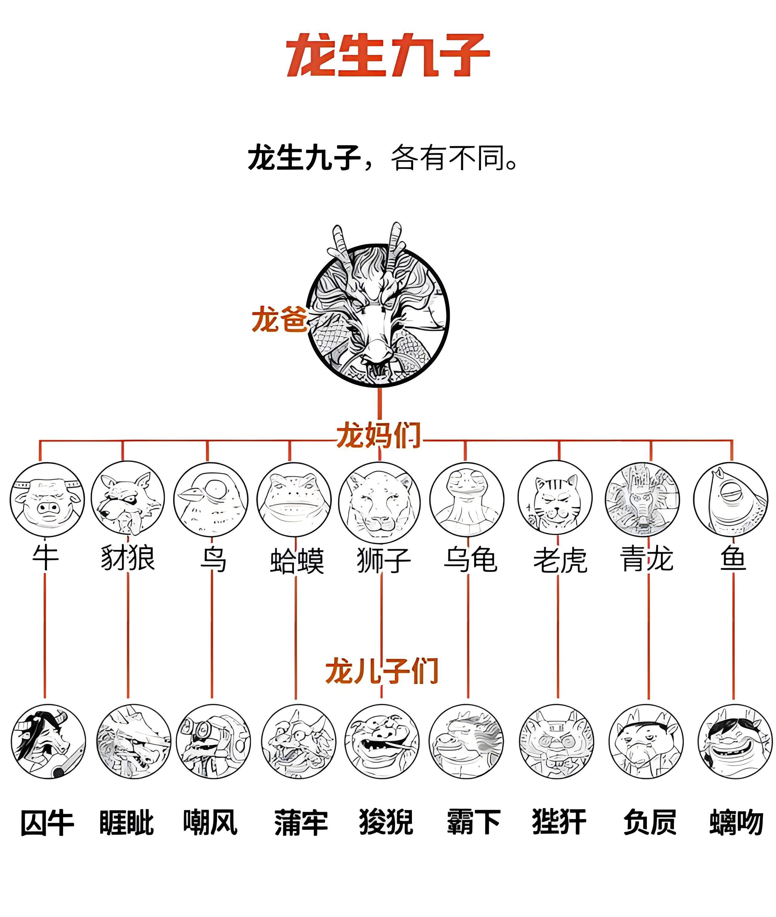 属龙的人找伴侣很重要