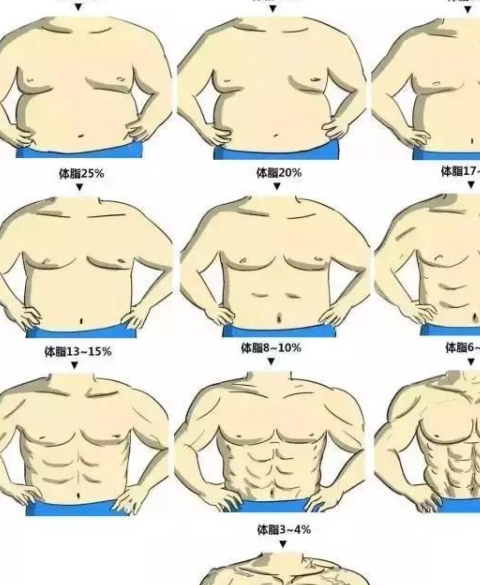腹肌训练动作名称图片