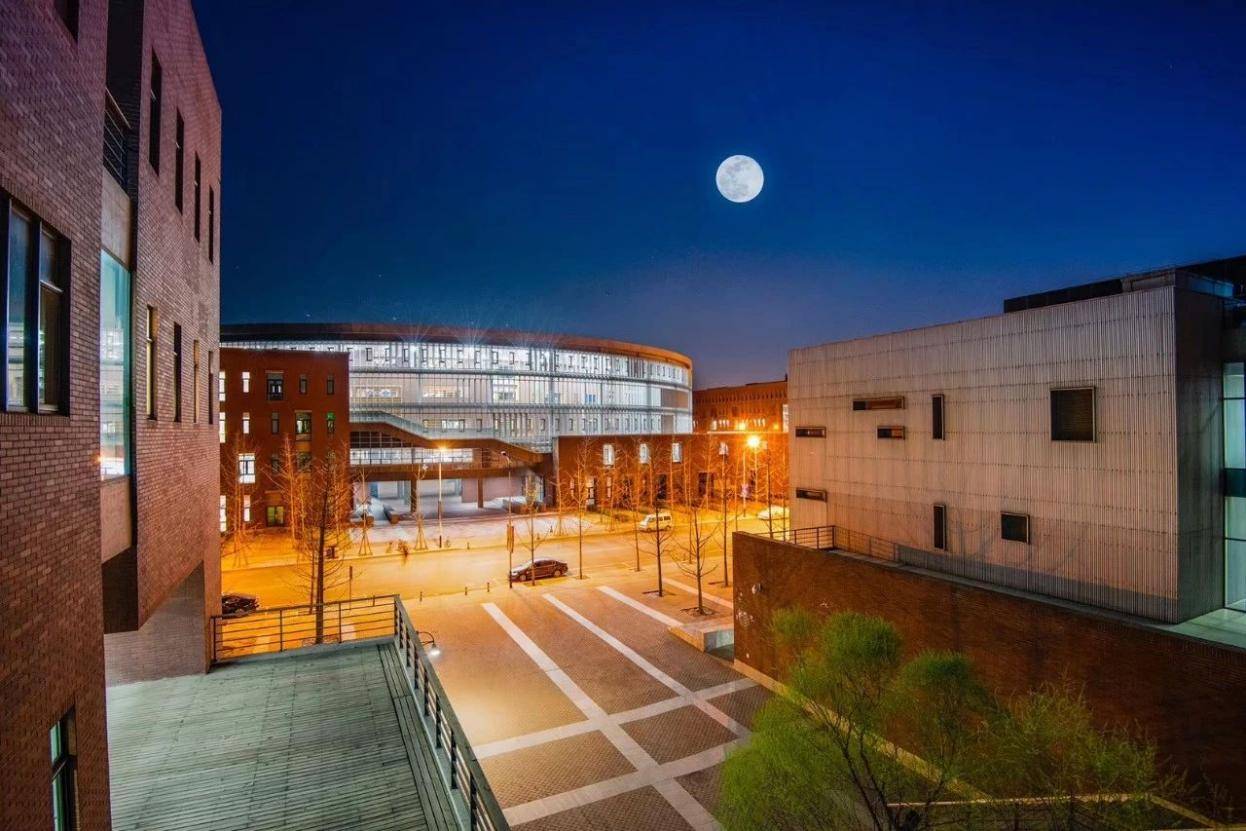 只为学生_教育_校园_作用