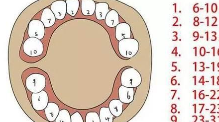 寶寶到底幾個月時,長牙算正常?_牙齒_影響_媽媽
