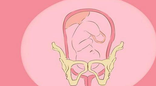 孕晚期粉色分泌物图片图片
