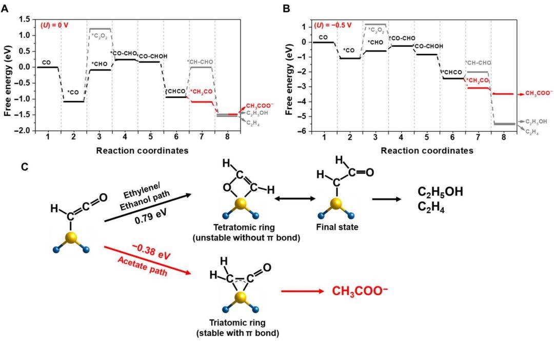 science子刊 jacs共同聚焦單原子cu催化劑!_產物_選擇