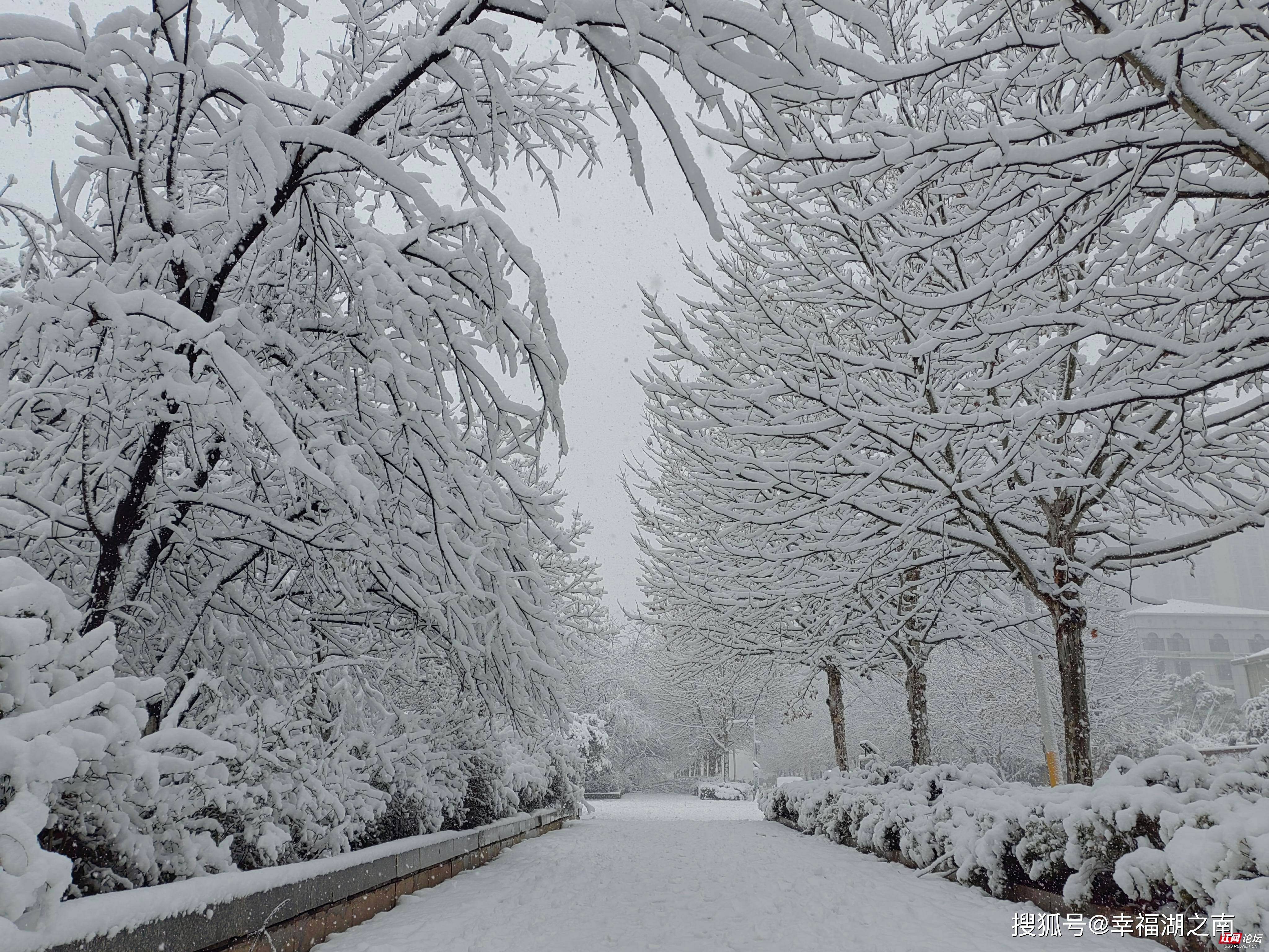 大雪实景图图片