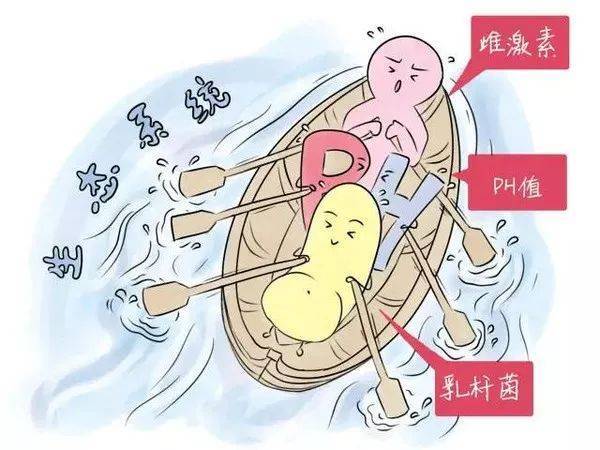 对症下药华克维两性霉素b阴道泡腾片,主要用于真菌感染性的阴道炎