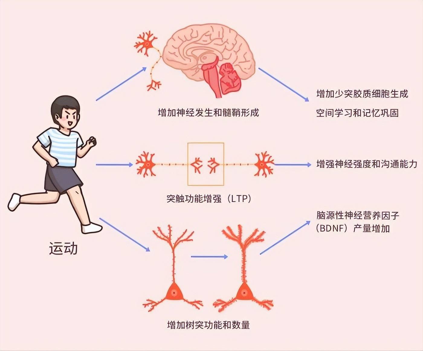 確實,已有科學