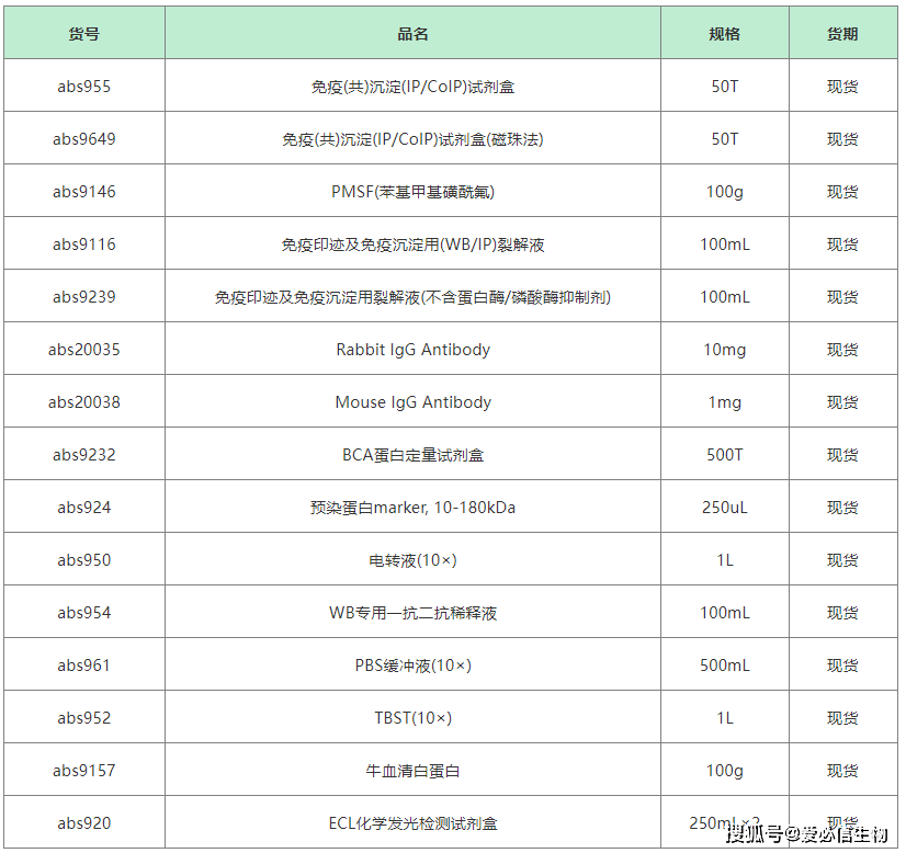 免疫(共) 沉淀 (ip/coip) 磁珠法vs琼脂糖珠法_abs_实验_抗体