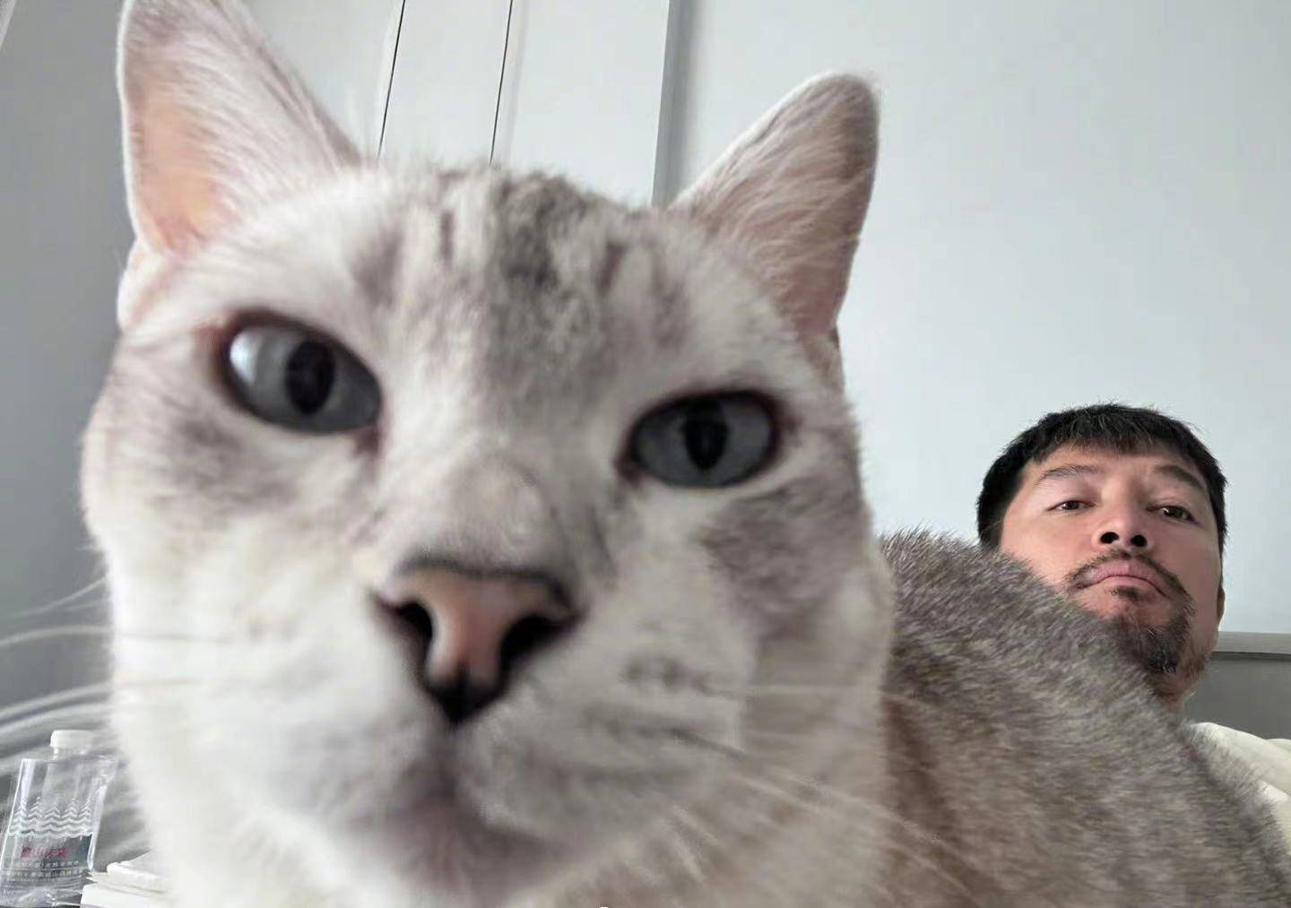 胡歌和老婆出门购物被拍,两人默契十足,相亲相爱岁月静好_黄曦宁_生活